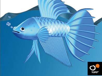 Yupo Blue Indigo | © Yupo