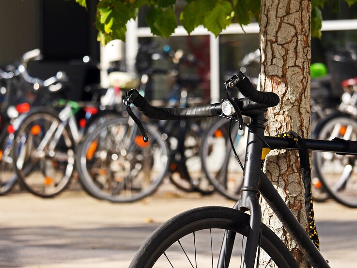 Fahrrad lehnt an Baum