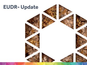 EUDR-Update Europapier Logo aus Holz-Dreiecken