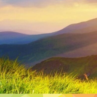 Header high Nautilus Aktion 2026
